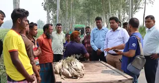 শিকারের পর ৫০ বক হত্যা, সিংড়ায় তিন পাখি শিকারির কারাদণ্ড
